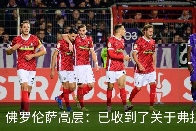 佛罗伦萨高层：已收到了关于弗拉霍维奇的报价